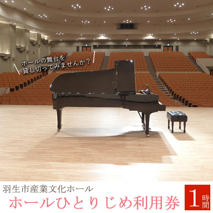 【ふるさと納税】 羽生市 産業文化 ホール ホールひとりじめ利用券 【※お1人様2枚まで】 体験 ホール貸し切り券 舞台 日時 限定