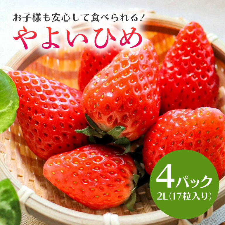 【ふるさと納税】【数量限定・先行予約】やよいひめ 2L（17粒入り）×4パック 1kg以上 いちご イチゴ 苺 フルーツ 果物 くだもの 国産 茨城県産 高糖度 甘い ＜2026年1〜3月発送予定＞ （茨城県共通返礼品 石岡市） 71-A