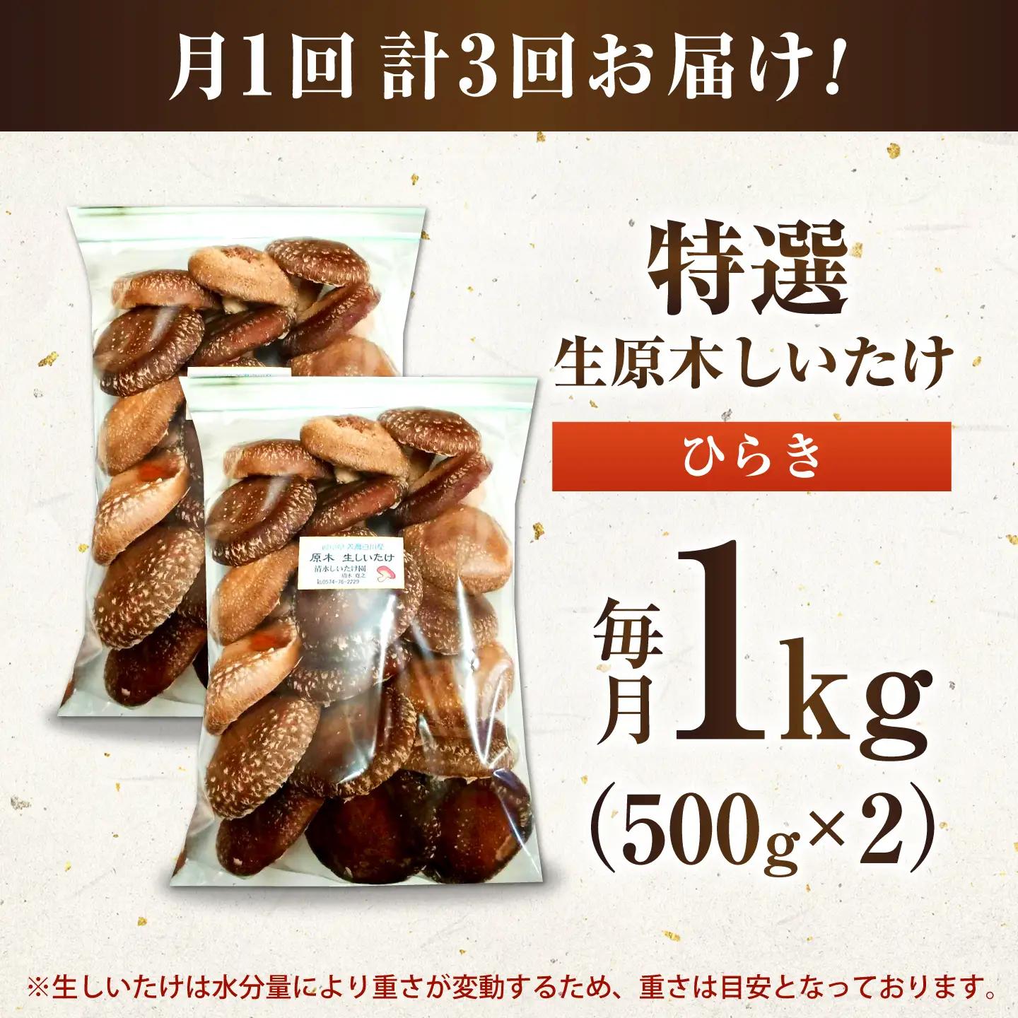 【3回定期便】生しいたけ ひらき 1kg / 清水しいたけ園[AWAY008]シイタケ