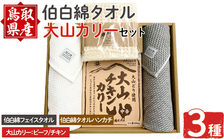 伯州綿タオル＆大山カリーセット！ ふるさと納税 境港市 特産品 フェイスタオル ハンカチ カレー ビーフ チキン 牛肉 鶏肉【sm-BP012】【フジキコーポレーション】