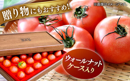 【先行予約】プレミアム徳谷トマト約1kg 24個入り 生産者52番 (ウォールナットケース入り) 〈2027年1月中旬～2027年5月下旬頃発送〉/ フルーツトマト とまと フルーツ 果物 季節もの 