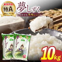 【ふるさと納税】令和5年産 武雄市若木産 夢しずく 10kg（5kg×2袋） /肥前糧食株式会社【配送エリア限定】 [UCL009]