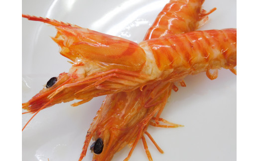 訳あり 夏海老のみそ漬け（食べやすいサイズ 車海老の味噌漬け） C168