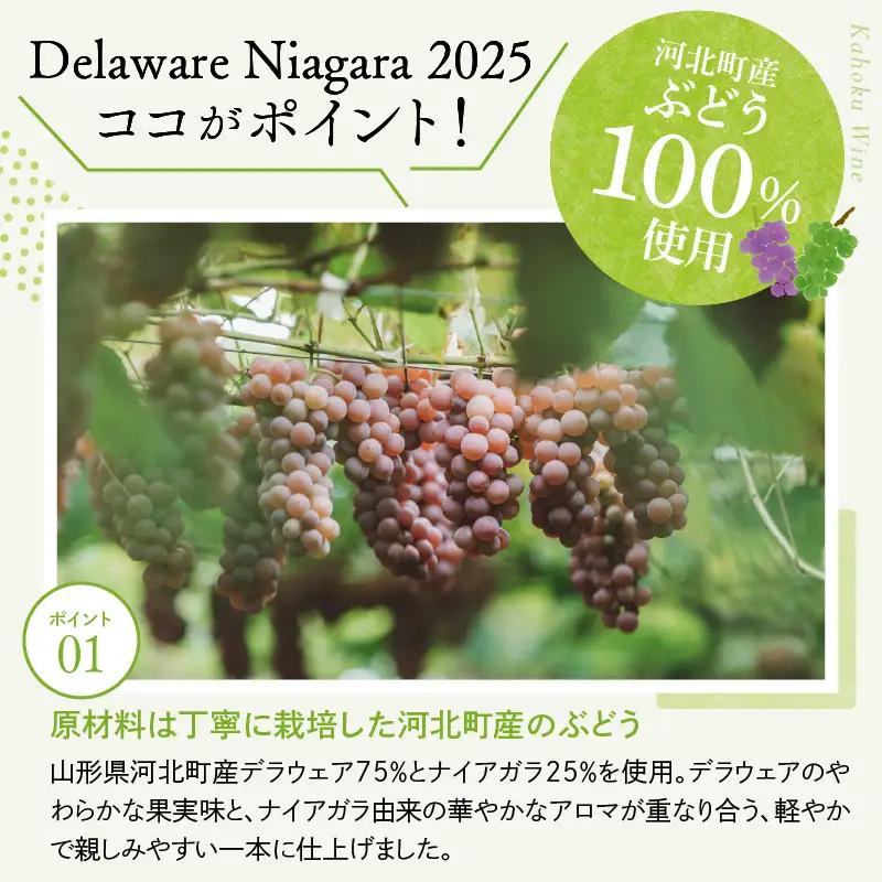 ワイン デラウェア ニアガラ 2025 750ml 河北町産 ワイン
