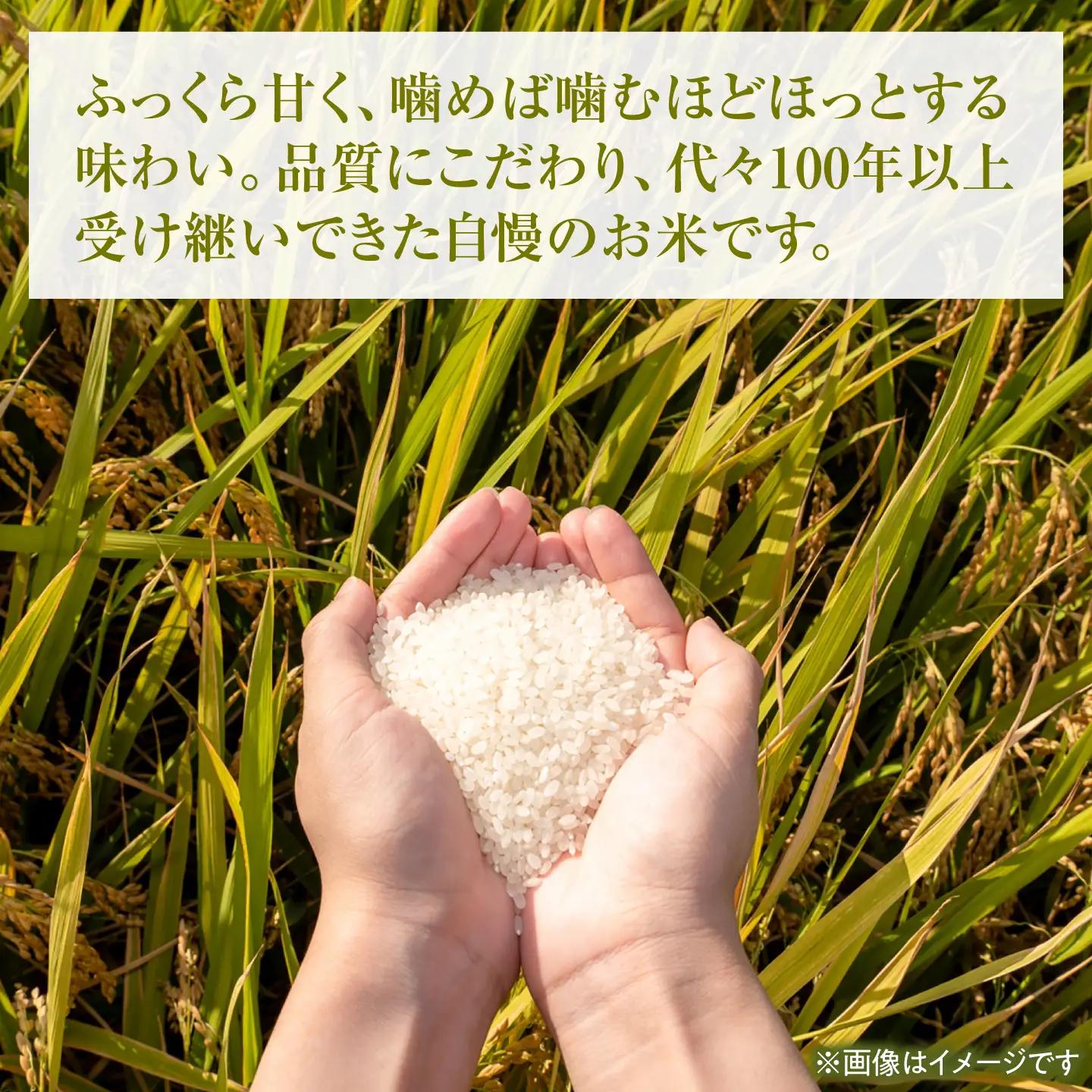 コシヒカリ 令和8年産 10kg 10キロ 精米 白米 お米 ご飯 ごはん 米 こめ こしひかり 高知県産 国産 お取り寄せ 常温 高知県 土佐市 ふるさと納税【三宮 君生】 [BQCE002]