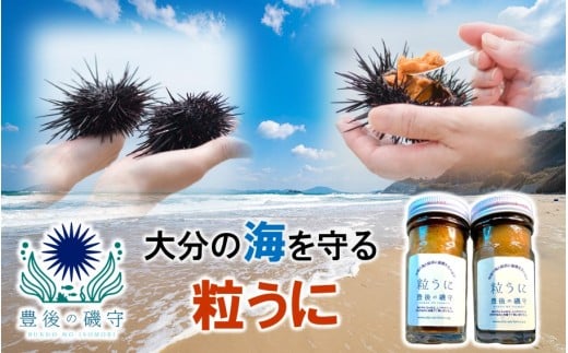 豊後の磯守 粒うに 60g×2本 _2522R