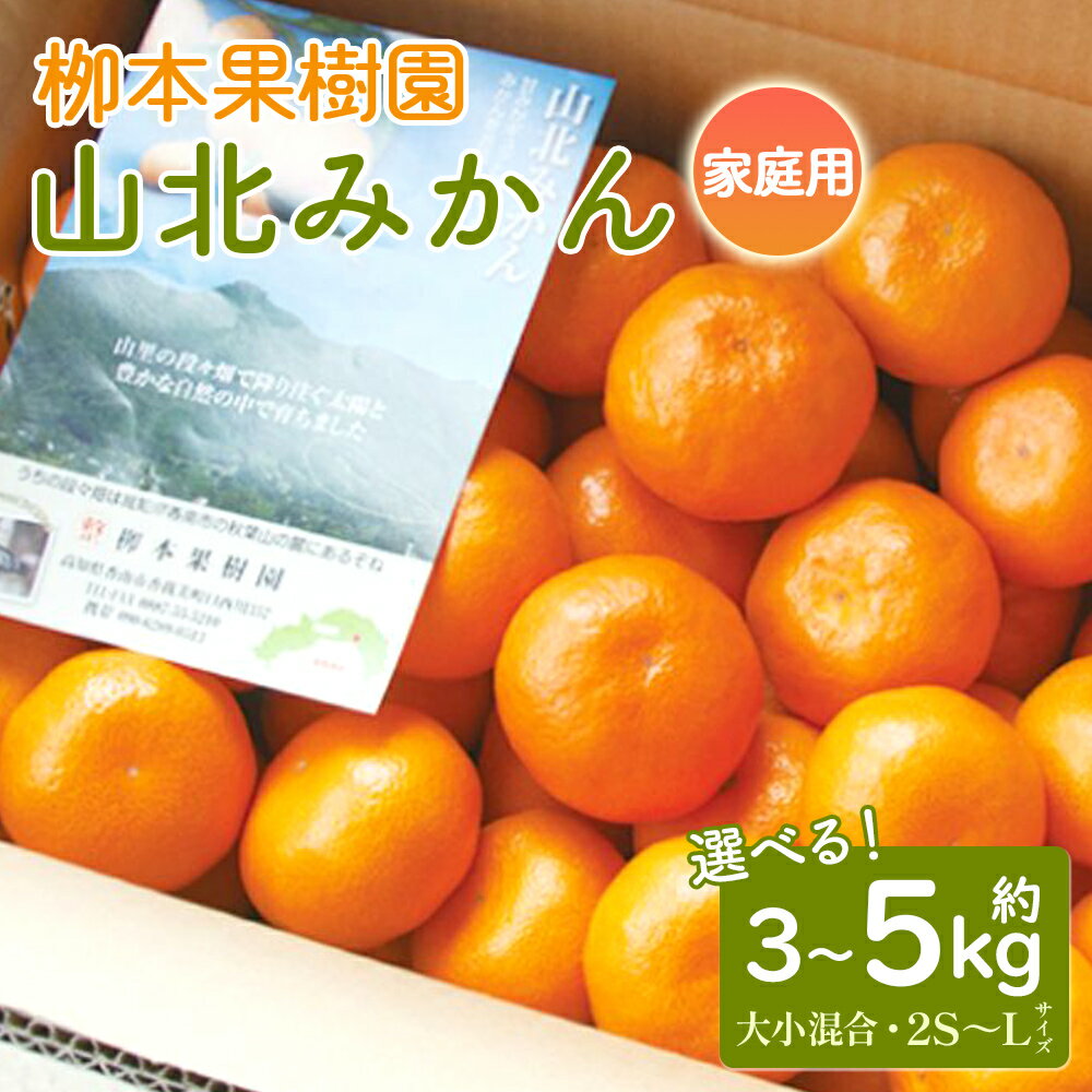 【ふるさと納税】【選べる内容量】【先行予約】山北みかん 家庭用 約3kg／約5kg（大小混合 2S〜Lサイズ）- 果物 フルーツ 柑橘類 温州みかん ミカン 蜜柑 甘い おいしい 訳あり キズ 送料無料 冬 期間限定 季節限定 数量限定 柳本果樹園 高知県 香南市【常温】