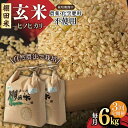 【ふるさと納税】【11月発送開始】【3回定期便】令和6年産 新米 自然農法で育てた棚田米 ヒノヒカリ 玄米 6kg（3kg×2袋）/永尾 忠則[UAS011] 米 お米 特別栽培米 玄米