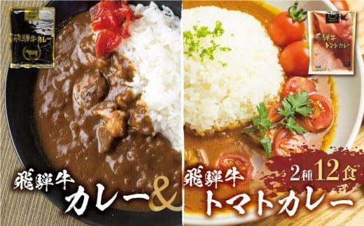 【1月発送】飛騨牛カレー (8袋) 飛騨牛トマトカレー (4袋)  | 常温配送 訳あり カレー レトルト人気 レトルトカレー 飛騨牛カレー ビーフカレー 和牛カレー 黒毛和牛カレー 高級カレー レトルト レトルト食品 レトルトカレーセット 飛騨牛 牛肉 ビーフ 和牛 ご当地カレー カレーライス ライスカレー 湯煎 簡単調理 時短 常温保存 保存食 備蓄 ふるさと清見 DC004VC01