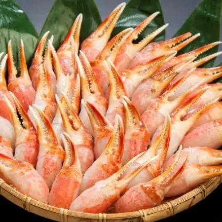 ひとくちサイズで食べやすい! 生冷凍 本ズワイガニ むき爪 1kg  手軽に使えるむき爪【カット済】【配送不可地域：離島】【1735365】