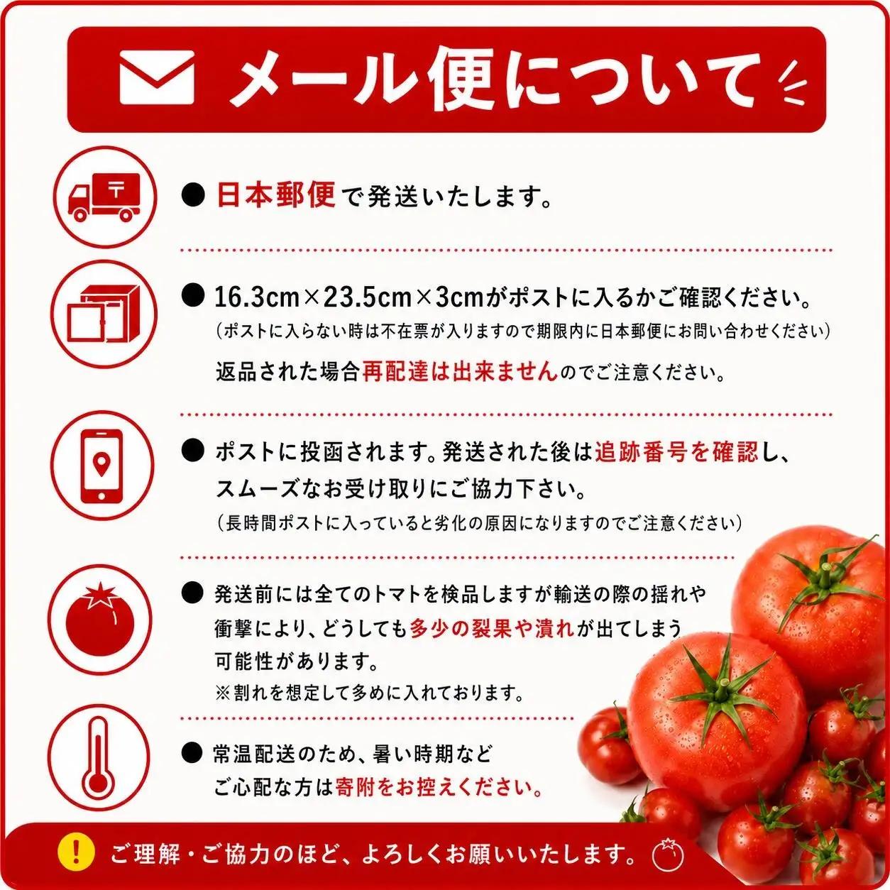 ミニトマト（プラチナ） 400g｜レッドアップ ※メール便でお届け