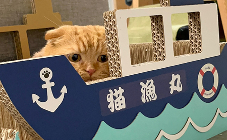 猫の爪とぎ　漁船 猫 ねこ ネコ キャット cat 爪とぎ ダンボール 段ボール 写真映え かわいい 船 日本製 国産 おもちゃ ペット インテリア 愛猫 動物 猫用品 猫用玩具 グッズ 愛猫へプレゼ