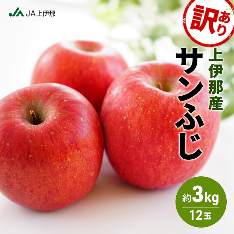 【ふるさと納税】訳あり りんご 長野 リンゴ サンふじ 約3kg （12玉） 産地直送 フルーツ 果物 デザート おやつ 林檎 旬 信州 長野県 長野県産 駒ヶ根市 上伊那産　お届け：2026年11月上旬～12月下旬