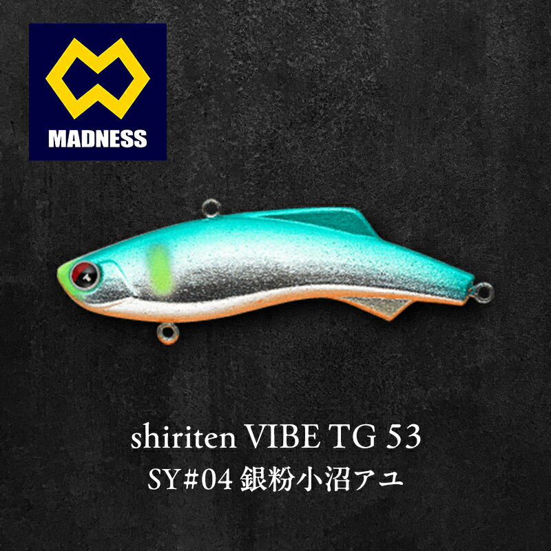 【ふるさと納税】銀粉小沼アユ shiriten 53 12g VIBE TG SY#04 タングステン シリテンバイブ 京都府京田辺市