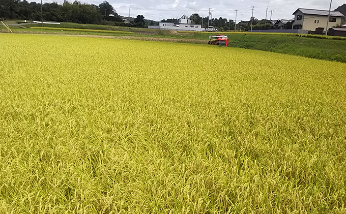 はなまる農園令和6年新米香川県産「コシヒカリ（玄米）30kg」 12月配送