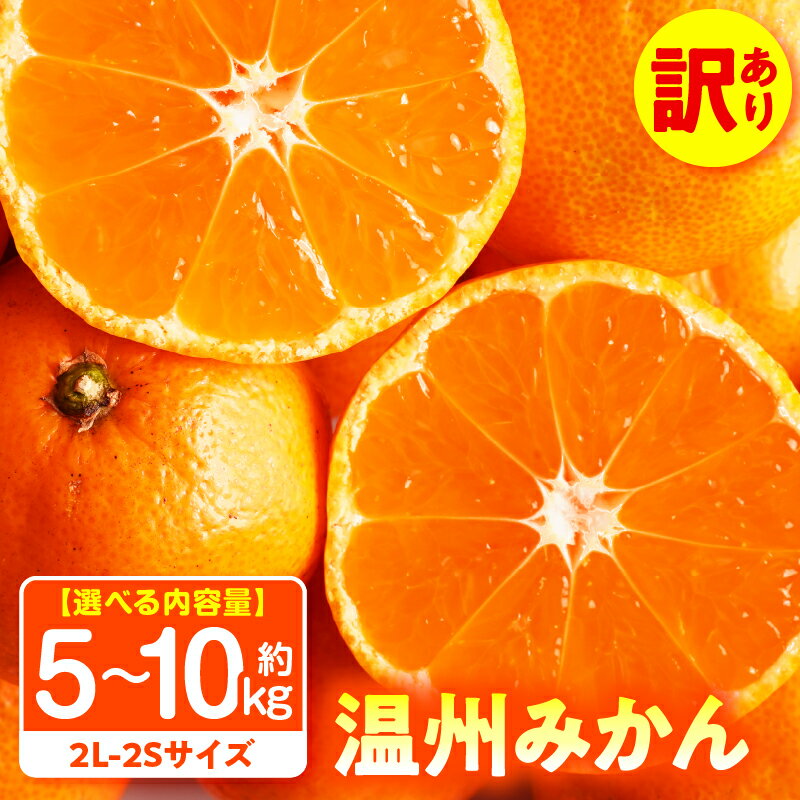 【ふるさと納税】【選べる内容量】訳あり温州みかん約5～10kg（2L-2S） みかん 温州みかん 果物 果実 訳あり 訳ありみかん 訳あり果物 訳ありフルーツ フルーツ みかん 柑橘 デザート 青果 訳あり品 グルメ ストック 家庭用 ご家庭用 オレンジ お裾分け 青果物 香川県