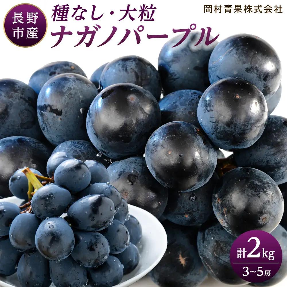 金オ岡村青果株式会社 長野市産 ナガノパープル2kg【2026年8月末以降出荷分】ナガノパープル  | ぶどう ぶどう