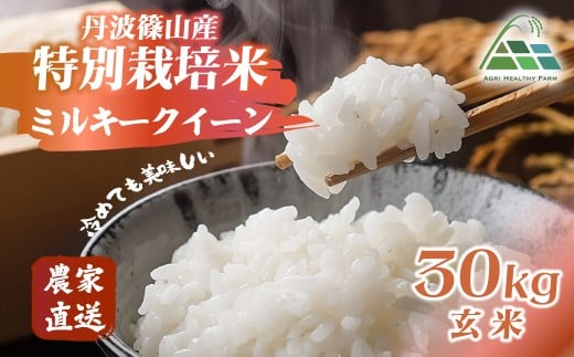 【2025年産】丹波篠山産特別栽培ミルキークイーン 玄米 30kg 兵庫県 丹波篠山市 げんまい 100％単一原料米 産地直送米 おいしい お米 精米 ブランド おこめ 健康 送料無料 おすすめ 人気 口コミ