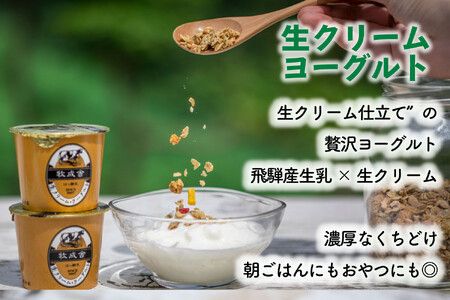 【飛騨乳製品バラエティセット】牛乳・ヨーグルト・チーズ詰め合わせ　11点｜ヨーグルト DF010