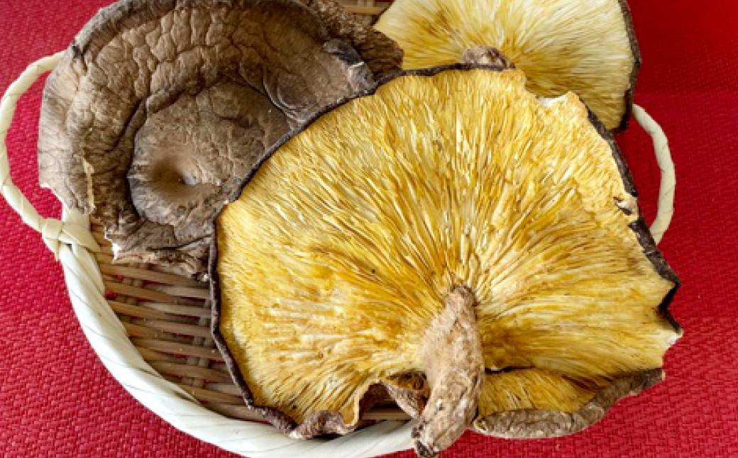 山盛りどんこ400g 山盛り大葉しいたけ400g 山盛り不揃いしいたけ500g 各1個 合計1.3kg