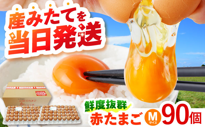 　【朝採れ直送】小峰鶏園 赤たまご Mサイズ 90個 / 卵 玉子 たまご 卵焼き 玉子焼き 生卵 鶏卵 卵かけごはん / 諫早市 / 小峰鶏園 [AHFB002]