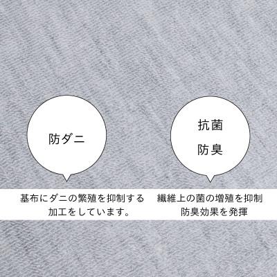 ふるさと納税 和泉市 防ダニ カーペット 6畳 日本製 抗菌防臭 ノースポール 江戸間 261×352cm グレー |  | 02