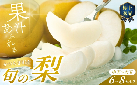【先行予約】旬の梨(幸水ー豊水ーあきづき) 極上秀品（中玉～大玉）6～8個入り 2026年8月中旬～9月中旬頃に順次発送予定（お届け日指定不可） | 和歌山 梨 フルーツ 果物 くだもの【kgr015】