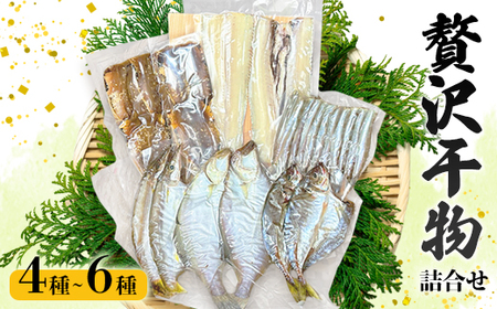 干物 セット4種～6種 旬の魚 干物 詰合せ 
