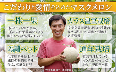 【通年栽培】純系マスクメロン１玉（化粧箱入）【５月発送分】