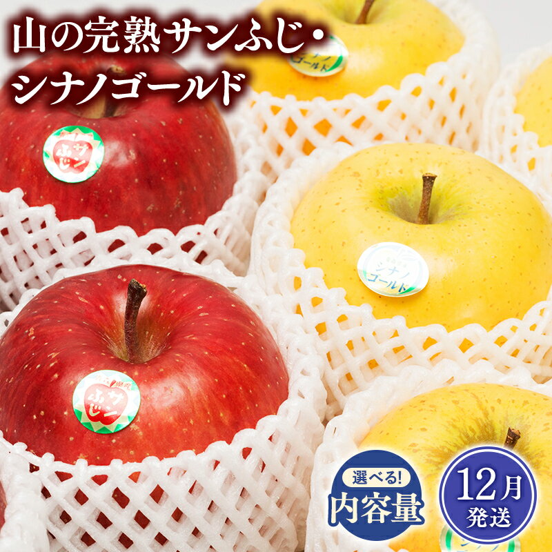【ふるさと納税】≪12月発送≫青森県産 山の完熟サンふじ・シナノゴールド 約3kg 約5kg【青森県 平川市 吹田りんご園】シナノ ゴールド サンふじ ふじ りんご リンゴ 果物 くだもの フルーツ 平川市産 完熟りんご レビューキャンペーン