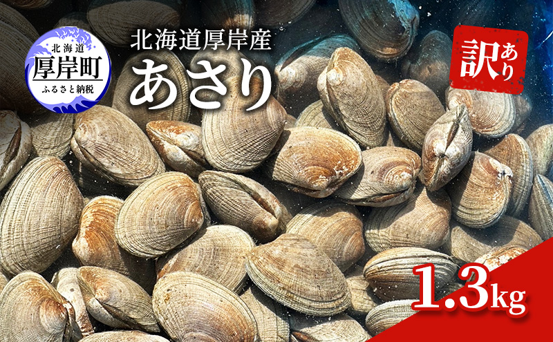 訳あり 北海道 厚岸産 あさり1.3kg 魚貝類 海の幸 グルメ 大粒 肉厚 砂抜き済み 
