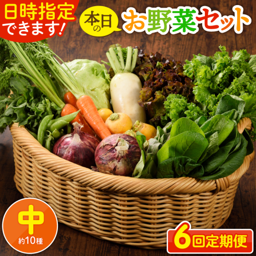 【6回定期便】日時指定OK！本日のお野菜セット 〈中サイズ/約11～13種〉 2～3人用_A0053-007