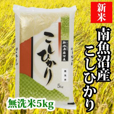 ふるさと納税 南魚沼市 【毎月定期便】南魚沼産コシヒカリ「Sun](無洗米5kg)全6回 | 