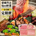 【ふるさと納税】【全6回定期便】《A4〜A5ランク》壱岐牛と旬の野菜定期便《壱岐市》【壱岐市農業協同組合】 [JBO078] 冷凍配送 黒毛和牛 A5ランク 壱岐牛 肉 黒毛和牛 野菜 旬 詰め合わせ 贅沢 BBQ 159000 159000円 15万9千円