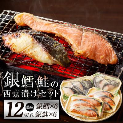 ふるさと納税 泉佐野市 厳選 西京漬けセット 銀鱈/銀鮭 合計 12切れ G1870