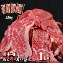 【ふるさと納税】オアシス九州 熊本県産 あか牛 切り落とし 1kg スライス すき焼き用 250g × 4パック 小分け 冷凍 牛肉 赤身 薄切り 肉じゃが 肉汁 熊本県 宇土市 お取り寄せ お取り寄せグルメ 送料無料