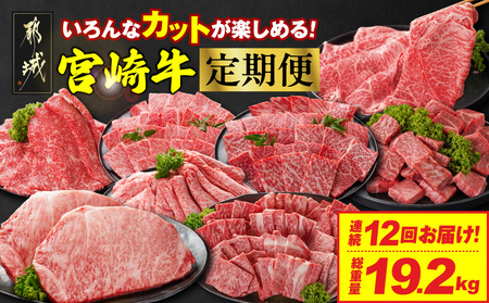 ≪12回連続お届け≫いろんなカットが楽しめる宮崎牛定期便L(総重量19.2kg)_T358-12-N201_(都城市)  宮崎牛 牛肉 肉 肩ロース ウデまたはモモ ロース 焼肉 すき焼き しゃぶしゃぶ ステーキ ミヤチク