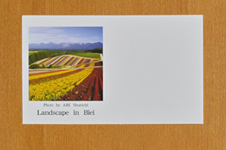 写真家　阿部俊一　名刺台紙・メッセージカード100枚(A)[005-05]