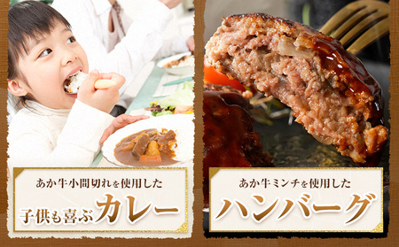 GI認証 くまもとあか牛 ミンチ 合計800g(200g×4パック) 民宿 山の里《60日以内に出荷予定(土日祝除く)》熊本県 産山村 あか牛 パック おかず 夕飯