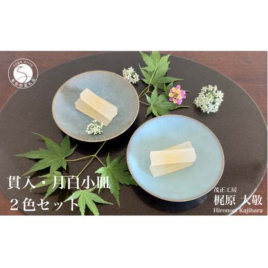 有田焼 貫入月白小皿 2色セット【梶原大敬 茂正工房】器 うつわ 食器 皿 取皿 小皿 菓子皿 2枚 セット ペア 青磁 貫入 青 夏 上品 シンプル 作家 ろくろ 電子レンジ対応 ak018