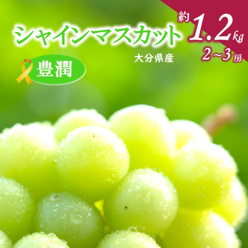 【先行予約】【令和8年発送】おおいたの豊潤シャインマスカット約1.2kg_2609Ｒ