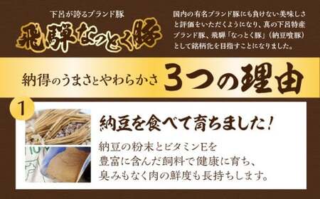 【定期便6回】納豆喰豚 お楽しみ定期便（味付け肉、しゃぶしゃぶ用、焼肉・生姜焼き用）天狗 なっとく豚 食べ比べ 定期便 6カ月 定期下呂温泉 おすすめ 豚肉 なっとくとん ブランド豚 国産  ギフト 