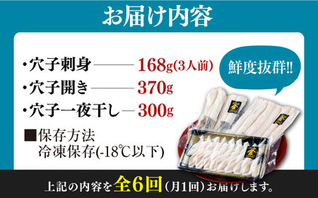 【全6回定期便】対馬産 活〆 穴子 ３点 セットC【THE・対馬株式会社】《対馬市》新鮮 あなご 刺身 天ぷら 海鮮 肉厚 簡単調理 三人前[WAS013]