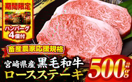 【2025年7月発送】【期間・数量限定】畜産農家応援！宮崎県産黒毛和牛ロースステーキ250g×2・国産牛ハンバーグ100g×4個_M132-091-B1-jul