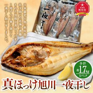 杉澤水産　真ほっけ旭川一夜干し（計5枚） | ほっけ_03371