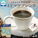 【ふるさと納税】 コーヒー ブレンド 粉 100g × 2 珈琲 生豆 自家焙煎 マイルド スペシャリティコーヒー 中挽き ハンドドリップ ギフト 無地熨斗 熨斗 のし お取り寄せ グルメ トドマツ 天野珈琲 北海道 札幌市