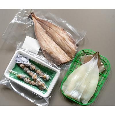 ふるさと納税 宮津市 京都・天橋立 海鮮3種詰め合わせセット 特大ホッケ サザエ串 イカ一夜干し