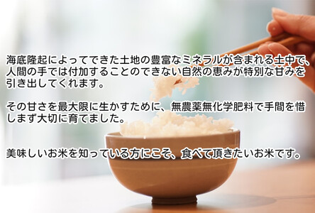 令和7年産　魚沼産コシヒカリ（南魚沼塩沢産）JAS有機栽培米「さとみ」白米５kg