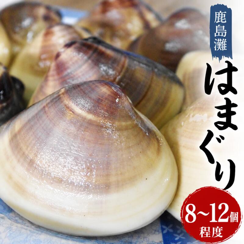 鹿島灘はまぐり　蛤　はまぐり　ハマグリ　海産物　海鮮　産地直送　送料無料　バーベキュー　肉厚　大粒　（KM-2）