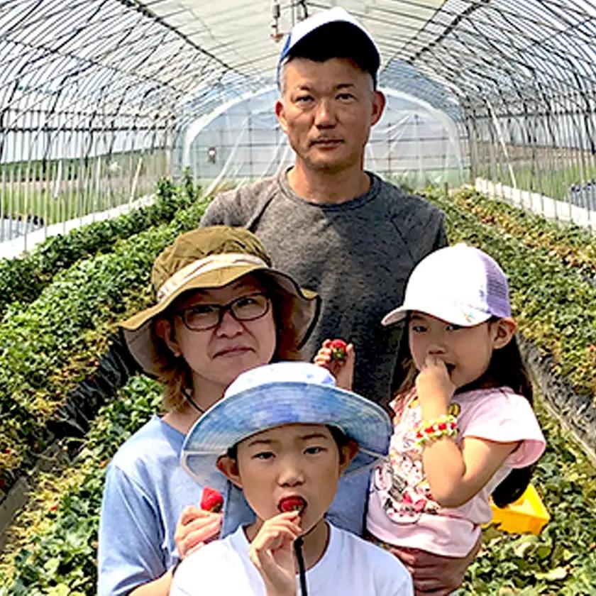 いちご とちおとめ M～L 約1kg いちご 下妻市産 本州のみ配送